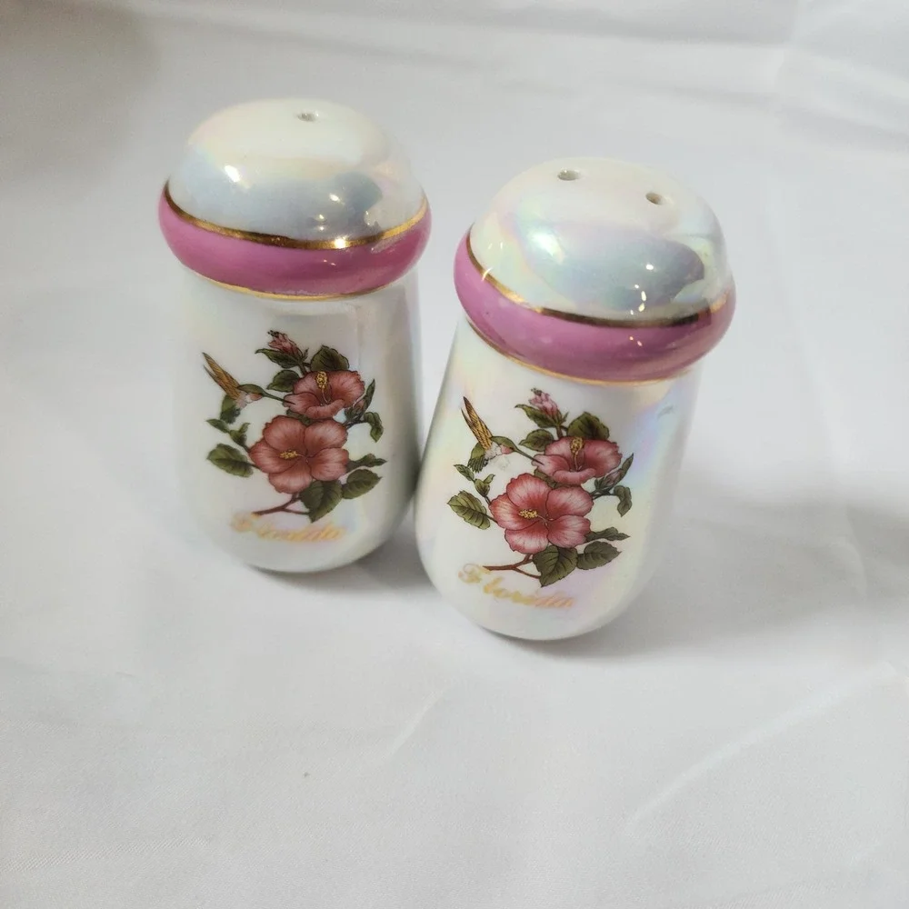 Iridescent Florida Souvenirs Salt and Pepper Shakers